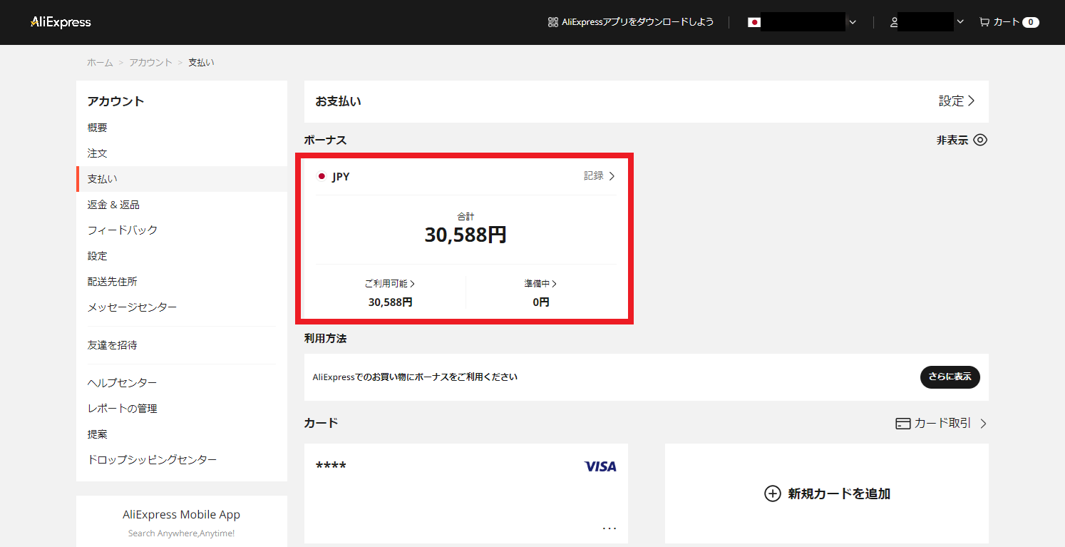 アリエク入門⑥】Aliexpressで「ボーナスポイント」を使った話 | 銀の備忘録